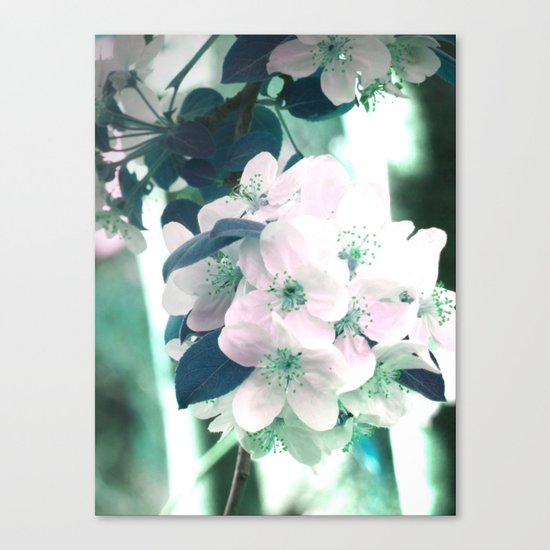 Rêveries Canvas Print