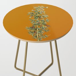 Vintage Kraal Honey Thorn Botanical Illustration on Bright Orange Side Table