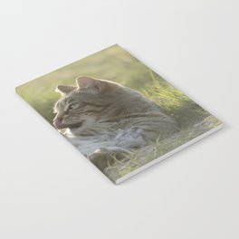 Tabby cat Notebook