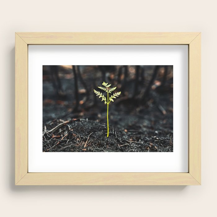 Recessed Framed Print