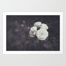 Retro Style Photography of Rose Flowers. Art Print