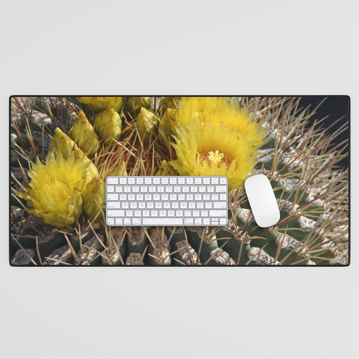 Mexico Photography - Beautiful Barrel Cactus Up-Close Desk Mat