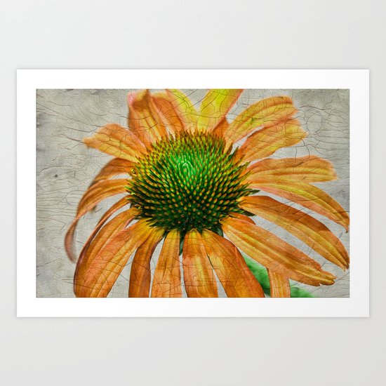 Orangle Crackle Art Print