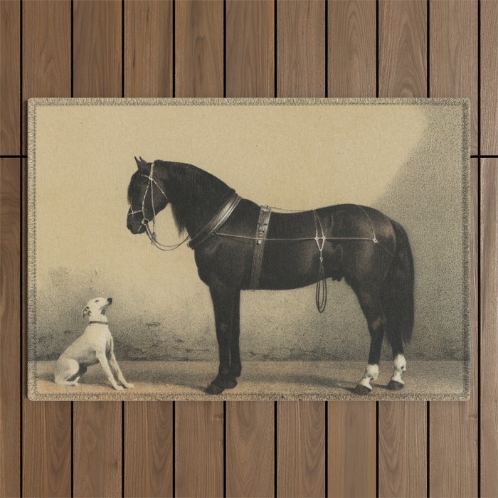 Curious Dog and Horse - White Dog and Black Orloff Horse Looking at Each Other (Orloffer) Outdoor Rug