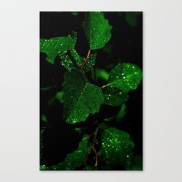 the Hydrosphere Canvas Print