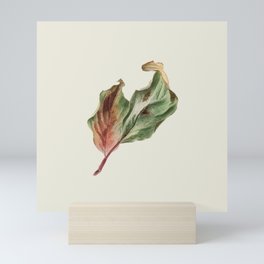 Minimal Dry Leaf - ReBirth Mini Art Print