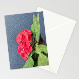 Euphorbia Milii Stationery Card