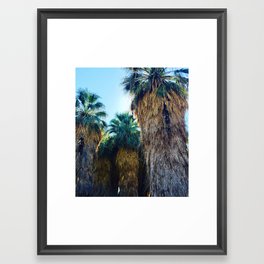 Coachella Palms Framed Art Print