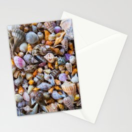 Seashell Collection Stationery Card