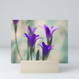 Elegant Brodiaea Wildflowers Mini Art Print