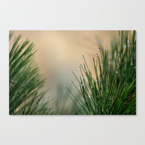RAINDROPS ON GRASS Canvas Print