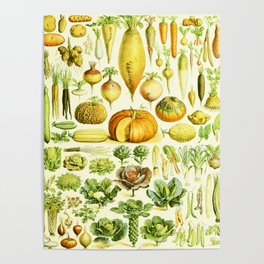 Adolphe Millot "Vegetables" Poster
