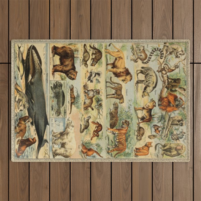 Antique Animal Chart Outdoor Rug