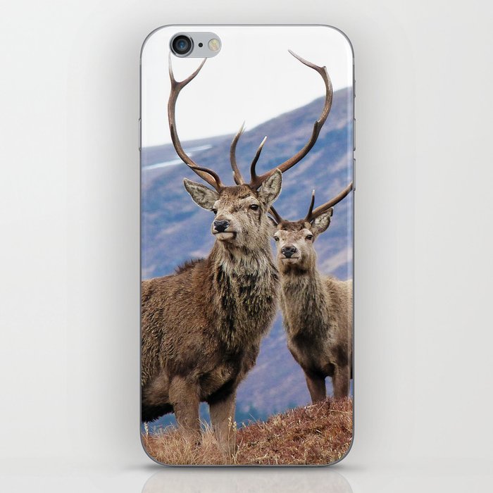 Stags iPhone Skin