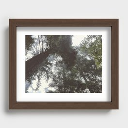 Looming Trees Recessed Framed Print