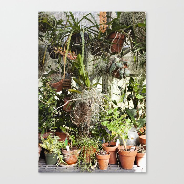 Canvas Print