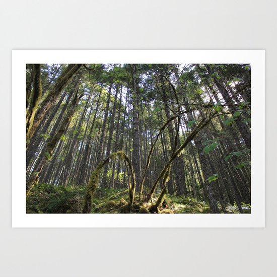 Nature's Claw Art Print