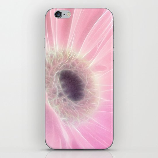 Gerbera in Pink iPhone & iPod Skin