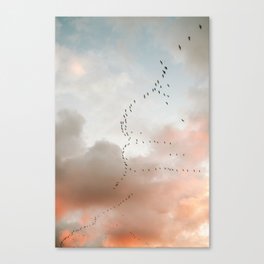 Birds of Paradise | Nosara Costa Rica Sunset Fine art photography print | Travel vibes Canvas Print