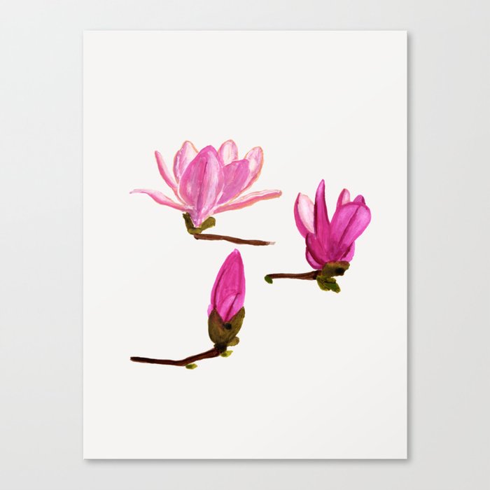 Magnolia Bloom Canvas Print