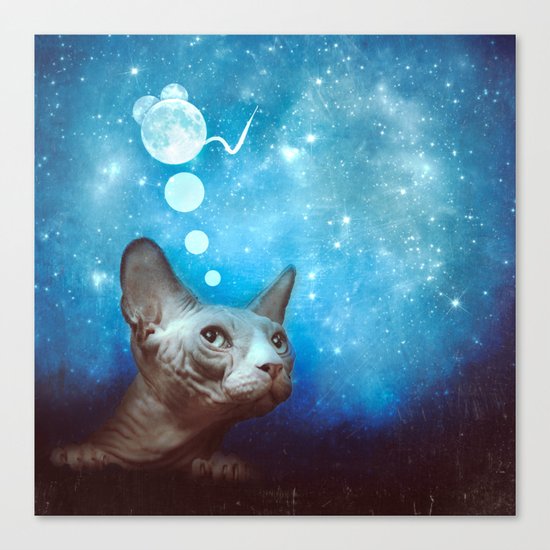 Night Dreamer Canvas Print