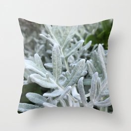 06 Throw Pillow