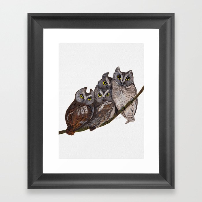 Baby Eastern Screech-owls Framed Art Print