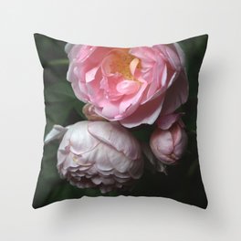Garden Rose Throw Pillow