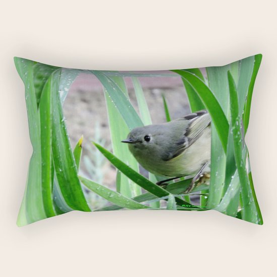 Kinglet Approaching Rectangular Pillow