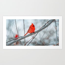 Northern Cardinal Birds Winter Scene Art Print