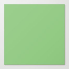 Solid Green Coordinate from Checkered Daisies Canvas Print
