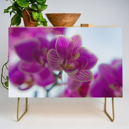 Orchids Credenza
