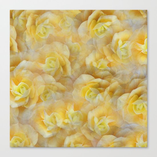 Yellow Blooms Canvas Print