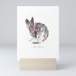 Lepus Californicus Mini Art Print