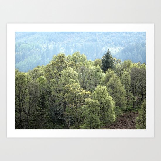 Werifesteria Art Print