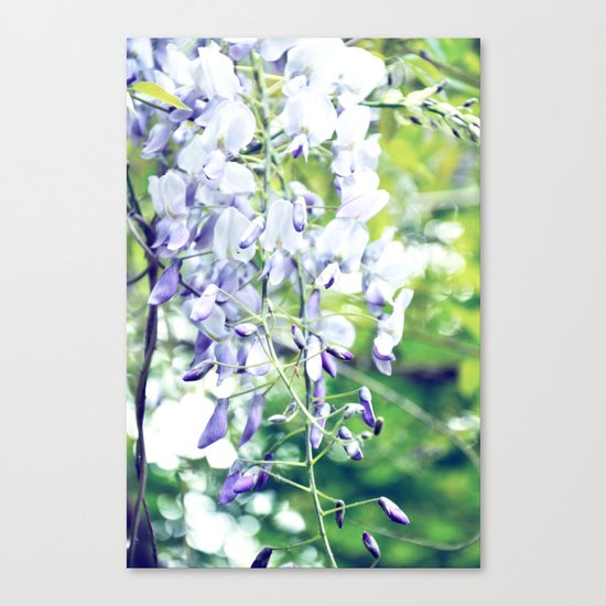 LOVELY WISTERIA Canvas Print
