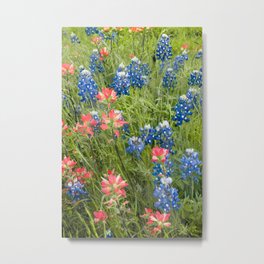 North Texas Bluebonnets and Indian Paintbrush Landscape Metal Print