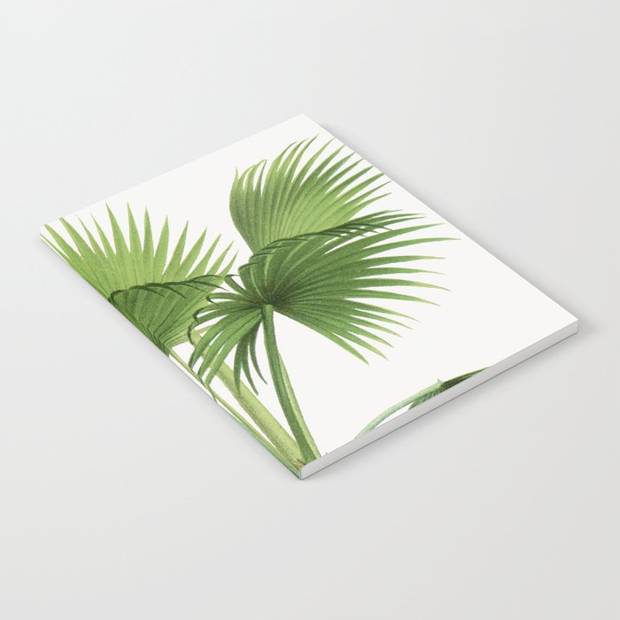 Vintage botanical print - palm tree illustration  Notebook