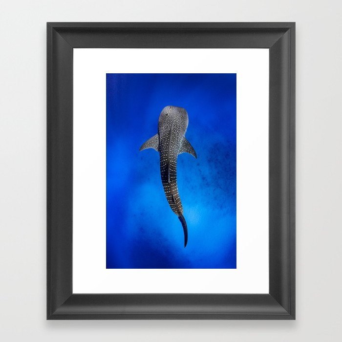 Whale Shark Framed Art Print