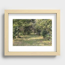The Grove Recessed Framed Print