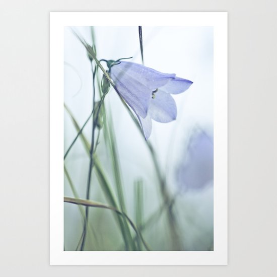 Harebell Blues Art Print