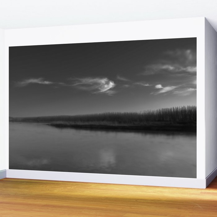 Winter Lake in Black and White Wall Mural by ARTbyJWP via society6.com