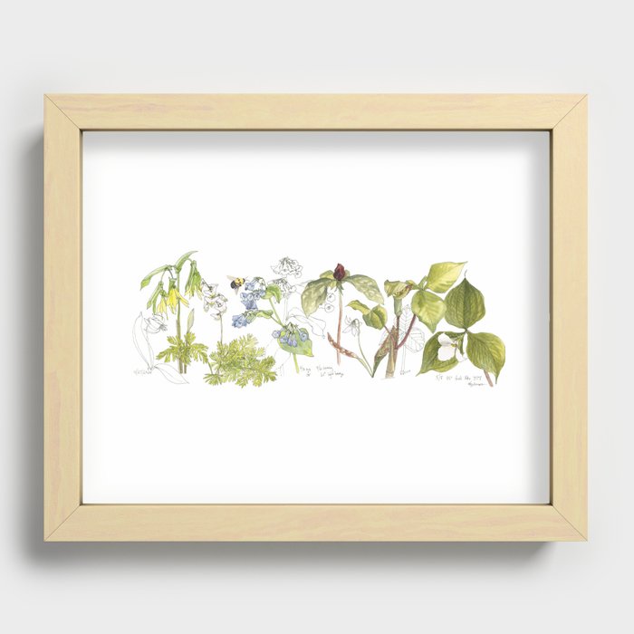 Spring Wildflowers Sketch Recessed Framed Print