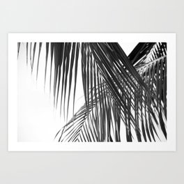 Lush Caribbean Palms #6 #tropical #palms #wall #art #society6 Art Print