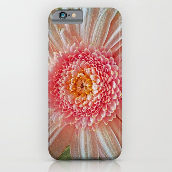 Pink Gerbera Textured iPhone & iPod Case