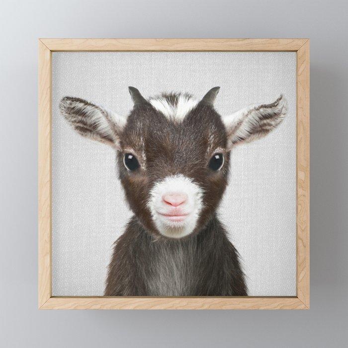 Baby Goat - Colorful Framed Mini Art Print