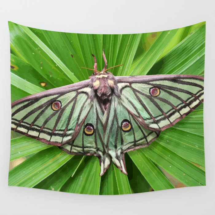 Moon moth 2025 tapestry