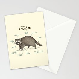Anatomy of a Raccoon Stationery Card