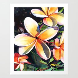 Kauai Rainbow Plumeria Art Print