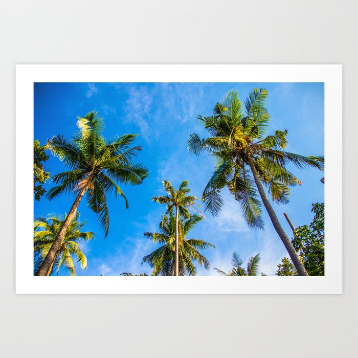 Palm Trees And Blue Sky Relaxing Home Decoration Art Print